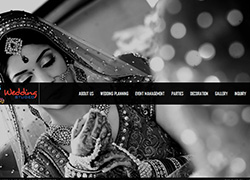 Wedding Studeo Chandigarh - Website Designed & Developed By AMS Informatics